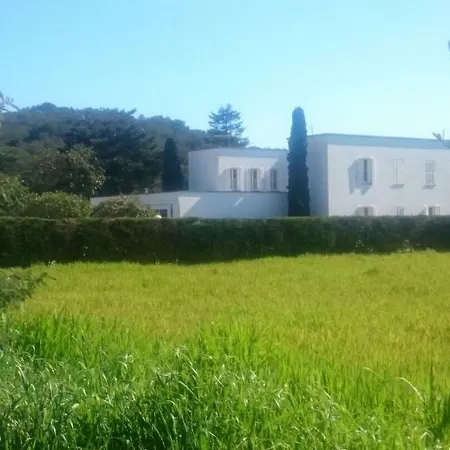 Gallo Colorao - Only Adults Bed & Breakfast Montrás