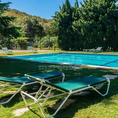 Gallo Colorao - Only Adults Bed & Breakfast